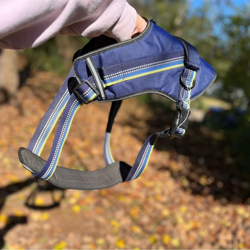 Head brand Blue Dog harness